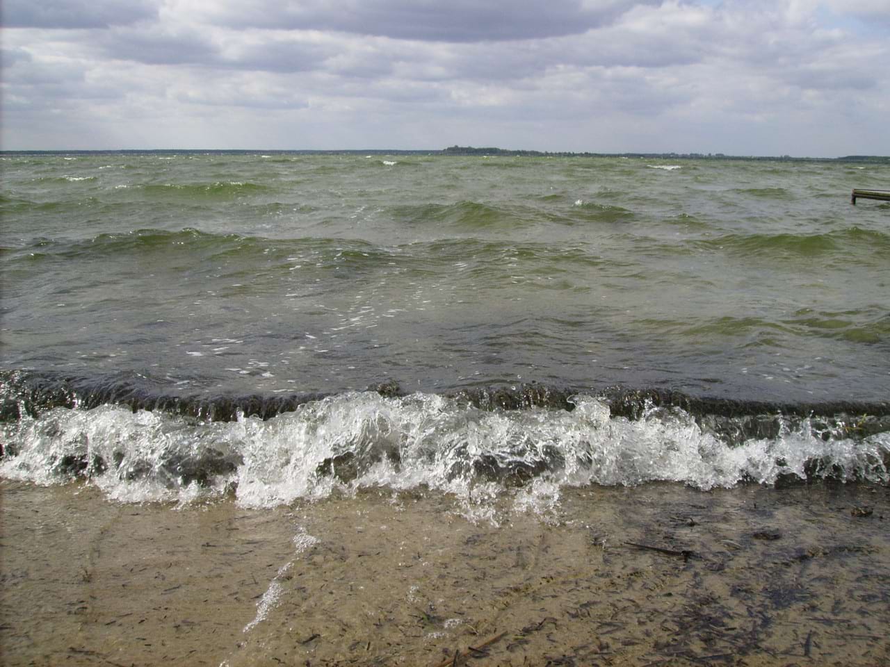 Свитязь Свитязь