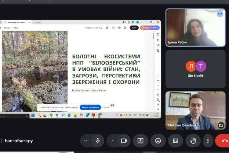 Презентація доповіді І.Рабик