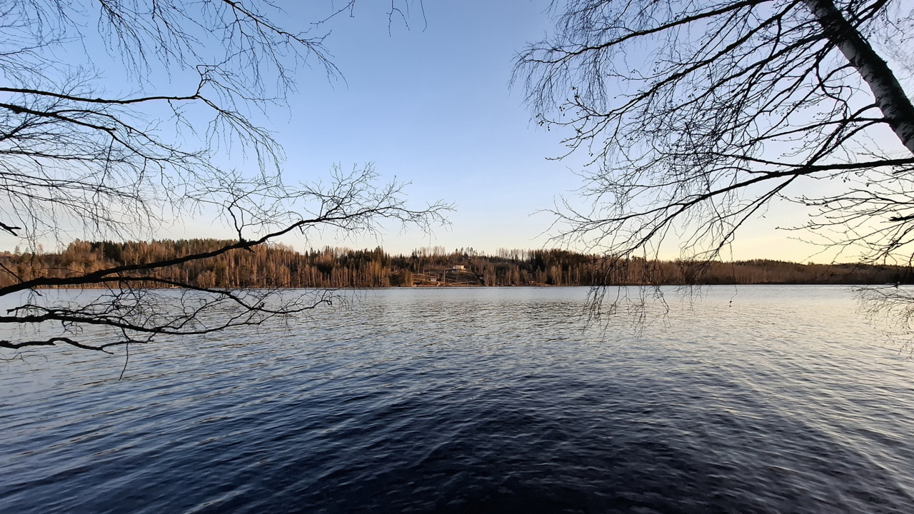Краєвид озера Пяаярві біля Біологічної станції Ламмі (Lammi Biological Station) Університету Гельсінкі (Фінляндія)