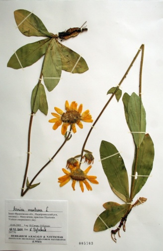 image17 image17