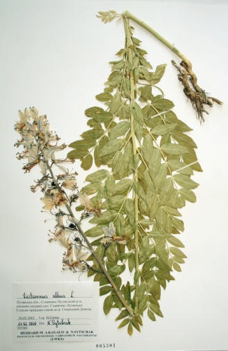 image18 image18