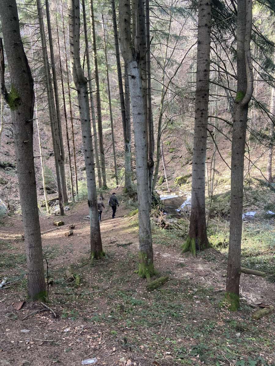 Аспірант Д.Лелека разом зі студентами відбирає проби грунту для дослідження