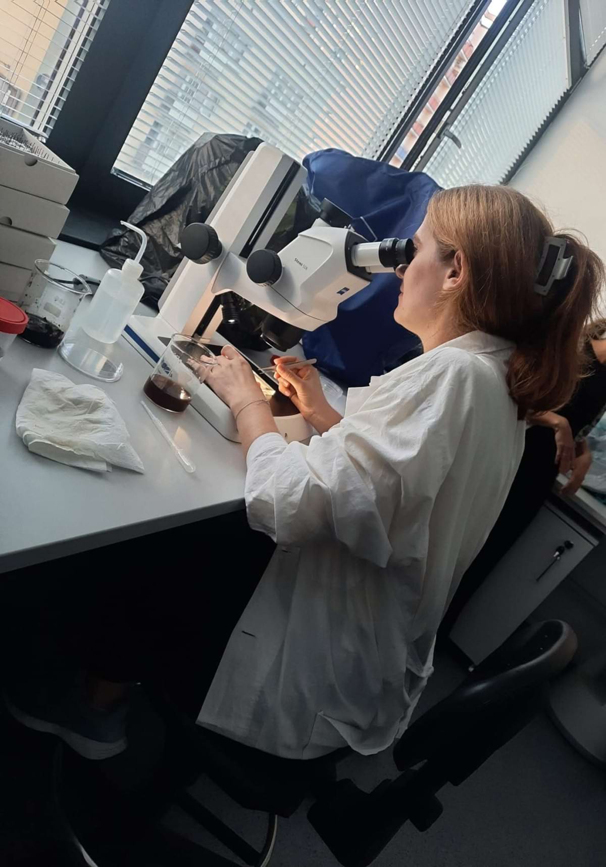 Робота в лабораторії із торфовими пробами.